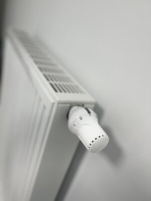 Schimmel entfernen & Tipps für die Heizsaison -