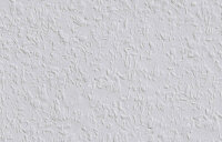 Erfurt Vlies-Rauhfaser 52 PRO Rolle 0,75cm x 25m