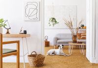 Amorim Cork Essence Novel Edge Natural