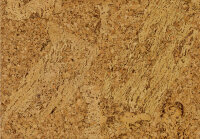 Amorim Cork Essence Originals Accent Muster