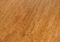 Amorim Cork Go Attraction