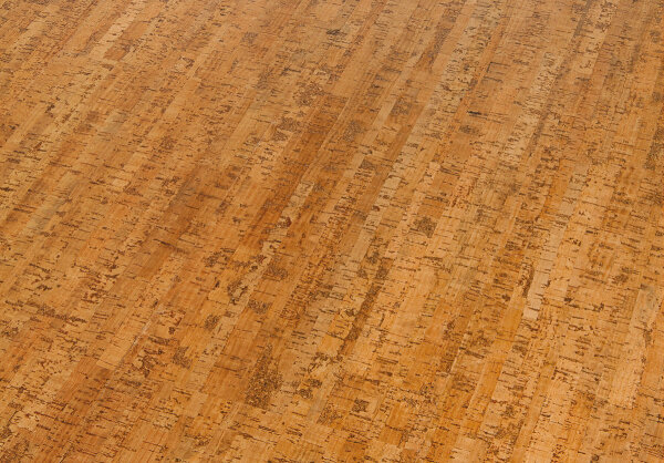 Cork Go Attraction Paket