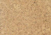 Amorim Cork Go Ambition