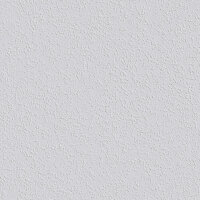 Erfurt Rauhfaser 40 PRO 0,53 m x 33,5 m 17,75 m²