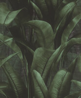 Rasch Back to Nature 416237