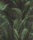 Rasch Back to Nature 416237