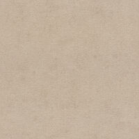 Rasch Beachhouse 408164