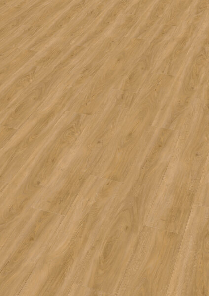 Duplex MALACIA Oak nature