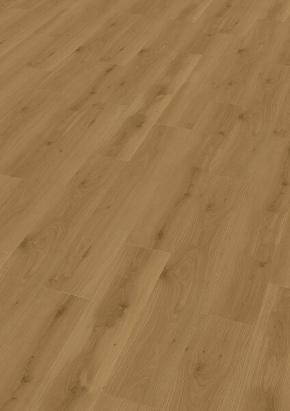 Duplex MALACIA Oak amber