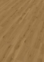 Duplex MALACIA Oak amber