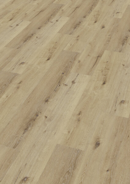 Duplex XL TAMBORA Oak excite